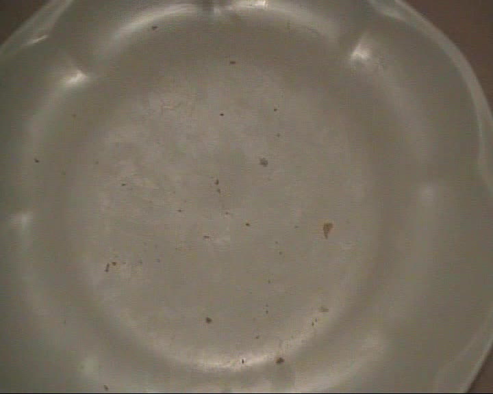 La Tartina velocina