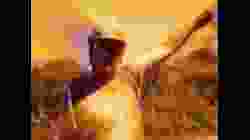 Mortal Dance